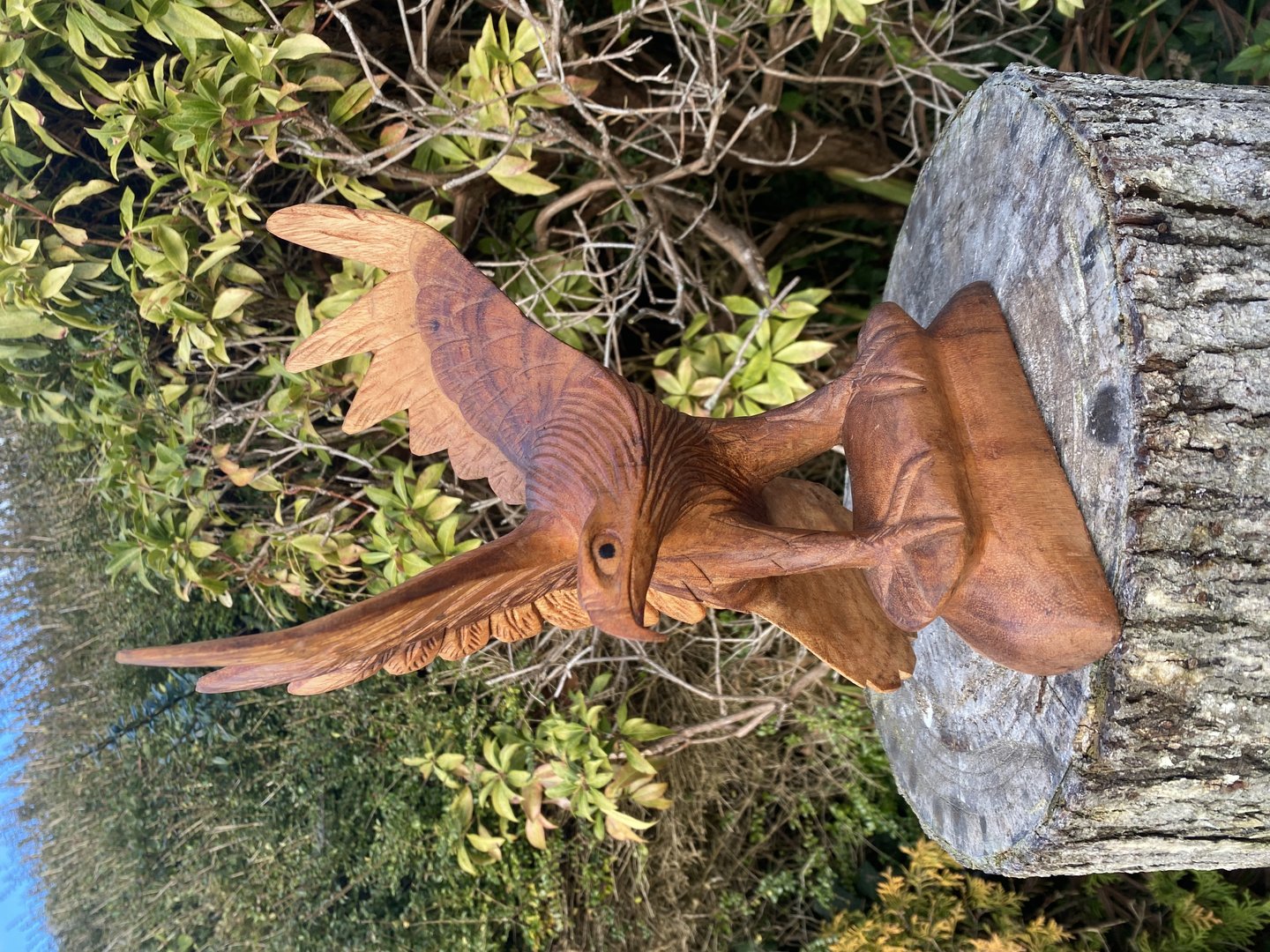 Wooden Eagle Carving 27cm