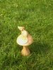 Wooden Mouse on single Mushroom