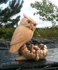 Wooden Owl In Nest with Eggs