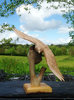 Wooden Swooping Eagle