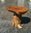 Wooden Coffee Root Table