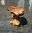 Wooden Bonsai Coffee Root Table