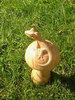 Wooden Lizard on Mushroom