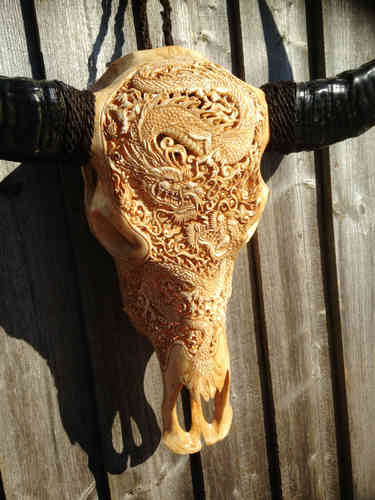 Buffalo Skull Dragon Design Carving