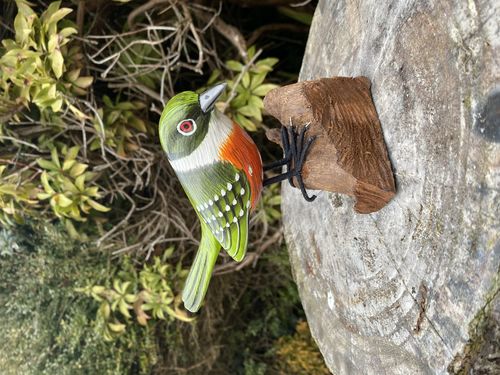 Green Finch  Wooden Bird on Driftwood