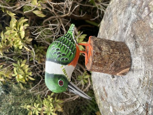 Green Kingfisher Bird on Driftwood