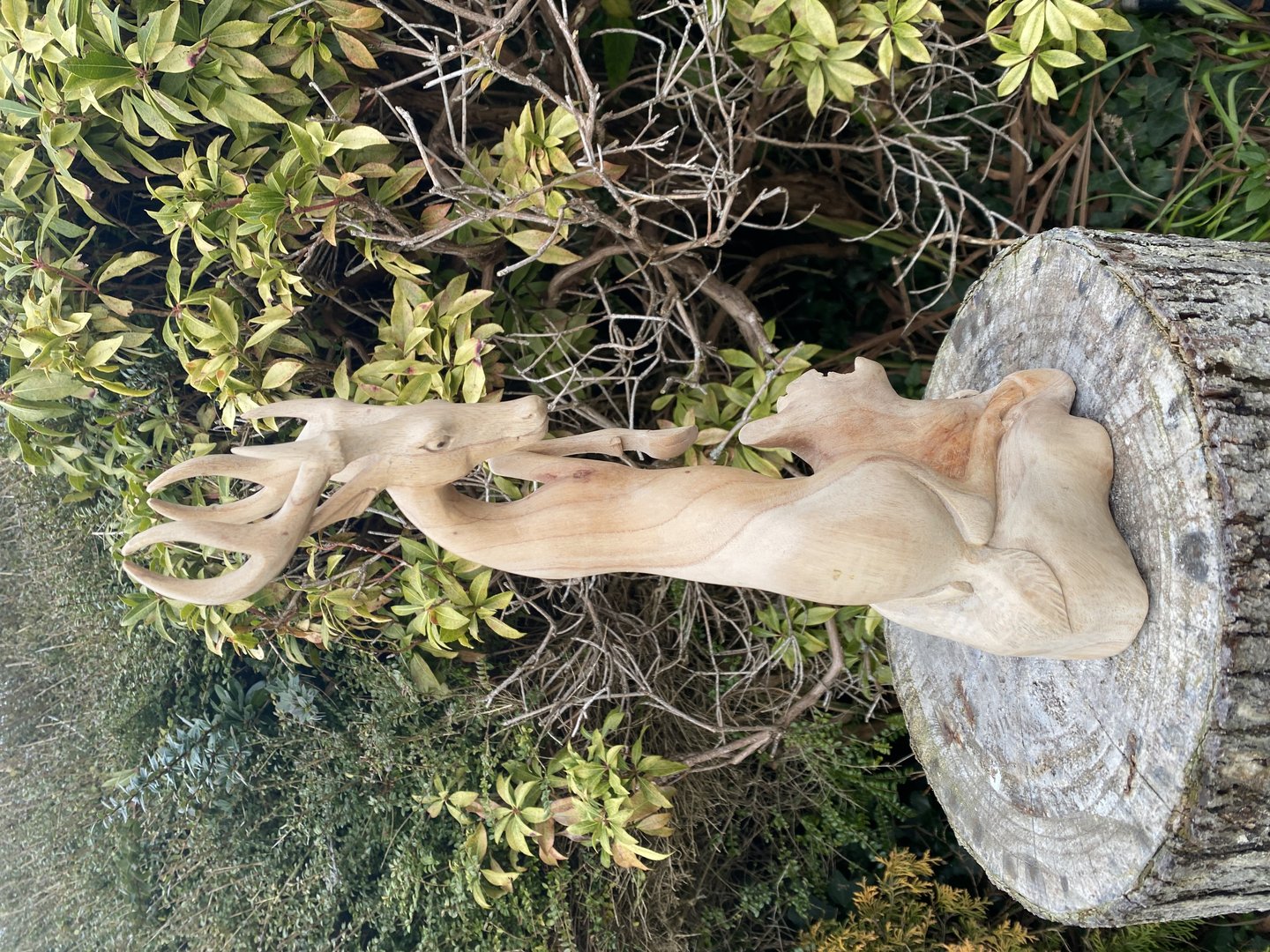 Wooden Stag Tree Branch Carving