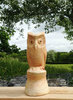 Wooden Owl on Pearch