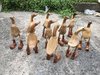 50 x Waxed Oiled Bamboo Root Duck Boot 27cm