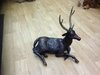 Brass Stag with Bronze Finish B