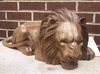 Lion Wood Carving